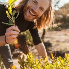 Wild Food Foraging with Thomas Radford (Bees to a Flower) · Dandelion