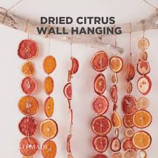 Dried Citrus Garland Diy Video Diy Garland Xmas Crafts Crafts