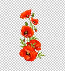 Coquelicots, coquelicots d'islande, bouquet de mariée, ,mariage buquet crepe paper flower un bouquet de pivoines serrées. Remembrance Poppy Flower Png Clipart Artificial Flower Bouquet Of Flowers Chamomile Common Poppy Coquelicot Free Png