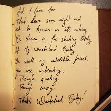 I'm in love, i'm in love with you. Hozier On Twitter Wastleland Baby