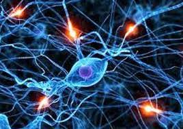 231 likes · 30 talking about this. El Impacto Social De La Esclerosis Lateral Amiotrofica Y Las Enfermedades Neuromusculares Publicaciones Agricultura Pesca E Industria Alimentaria Euskadi Eus