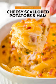 Both are made with thinly sliced potatoes cooked in cream, but they have one small, but i am happy to report this recipe is helping me make up for lost time. Cheesy Scalloped Potatoes And Ham Recipe Yellowblissroad Com