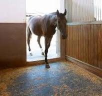 Horse Mats