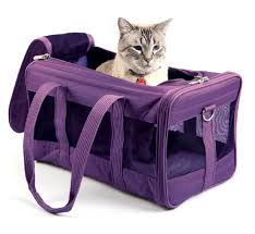 This page isn't monitored unless we're having an auction. Pet Food Bank Calgary Petscool