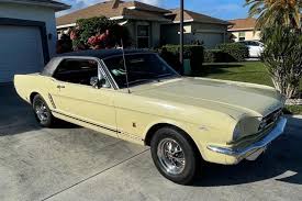 Image result for Phoenician Yellow 1965 Mustang