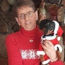 Ann Ehrman's Instagram, Twitter & Facebook