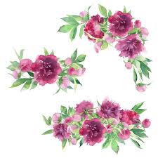 Bouquets clipart floral deer diy invites invitation clipart boho wedding peonies watercolor floral clipart you will receive: Watercolor Floral Clipart Burgundy Peonies Wedding Bouquet Aquarelle Line Art Digital Download In 2021 Floral Watercolor Peony Bouquet Wedding Flower Art