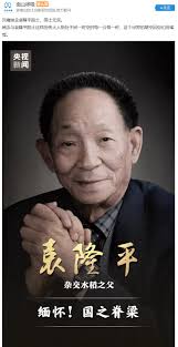 Born september 7, 1930) is a chinese agricultural scientist and educator, known for developing the first hybrid rice varieties in the 1970s. 2ncw6vjdqnkxhm