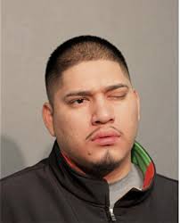 ᐅ Illinois Criminal Records 2009-2025