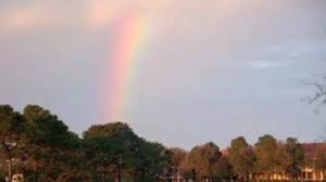But it is more beautiful in person than it is in the picture the quality is exceptional i just can't say enough about it anybody who had a little furry friend and lost them will know doubtedly enjoy reading this beautiful poem and remembering they're little fur baby. New Pet Loss Song Rainbow Bridge Comfort For Loss Of A Pet Youtube