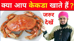 When it comes to the general guidelines about halal and haram animal, there are many criteria and standards stated in the narrations of the infallible imams (a.s.); Crabs Kekda Khana Kaisa Hai à¤…à¤—à¤° à¤†à¤ª à¤– à¤¤ à¤¹ à¤¤ à¤œà¤° à¤° à¤¦ à¤– Youtube