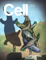 Find funny gifs, cute gifs, reaction gifs and more. Issue Cell