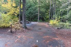 This scenic area follows a fork of the cispus river and even boasts historic basket trees that were used by the upper cowlitz tribe. Adams Fork Campground Gifford Pinchot National Forest Washington