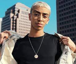 Все 4 плейлиста 54 трека. Bilal Hassani Biography Facts Childhood Family Life Achievements