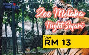Zoo melaka famous with night safari and its my 1st time experience going at night to watch to all the animals. Alami Zoo Melaka Night Safari Gempak