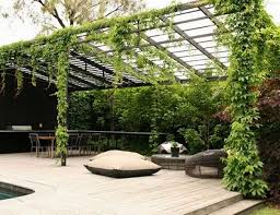 10 Kletterpflanzen Fur Pergola Traumhafte Sitzplatze Im Garten Gestalten Gartengestaltung Garten Und Outdoor Pergola Design