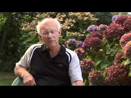 All are descended from australian petroica ancestors. The Man Who Saved The Black Robin Youtube