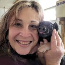 Benuel Lapp's Instagram, Twitter & Facebook