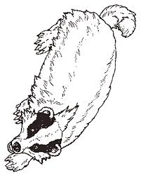 My 4y.o.son didn't believe in this story hi said it's not possible to accommodate such big animals inside a small mitten))). The Badger Coloring Page Reversed