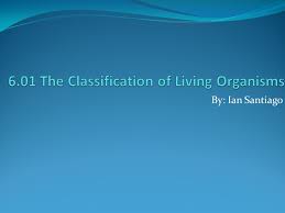 6 01 The Classification Of Living Organisms Ppt Video