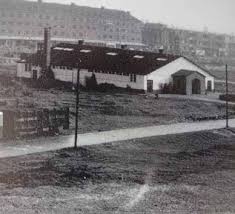 Afbeeldingsresultaat voor dineke van es verwoeste steden