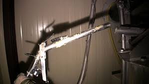 Pour gaver un canard, l'éleveur enfonce un tuyau dans l'œsophage de l'animal. Gavage Des Oies Et Des Canards Wikiwand