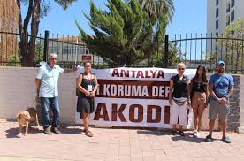 Antalya Da Hayvanseverlerden Mezarlik Talebi Antalya Haberleri