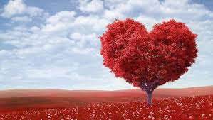 It is the best time to express your feelings. Loving Valentine S Day Quotes For Her Quotes Hil