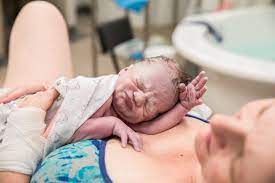 Sunny Coast Birth Photography | Black Mountain QLD