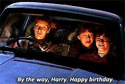 Quickly make a wish and blow your candles. Potter Jk Harry Potter Birthday Gif On Gifer By Saithirana