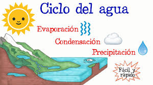 El ciclo del agua consiste en el proceso que sufre el agua, desde evaporación hasta precipitación. El Ciclo Del Agua Facil Y Rapido Biologia Youtube
