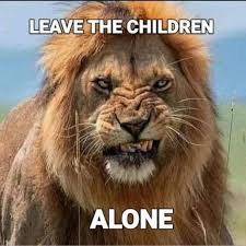 Darin Bruns (@da.rin9236) • Threads, Say more