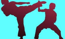 Dari gambar tersebut merupakan 7. 5 Teknik Dasar Taekwondo Beserta Gambarnya Olahragapedia Com