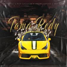 Image result for Manostachya