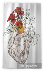 It is a muscular organ with four chambers. Drawing Human Heart With Flowers Sheer Window Curtain Pixers We Live To Change