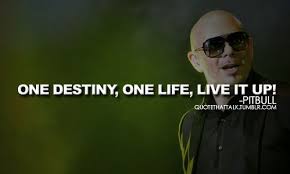 Pitbull Rapper Quotes Quotesgram Pitbull Rapper Rapper Quotes Pitbull Lyrics
