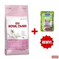 royal canin mother babycat yavru kedi mamasi 4kg kedi fit balik yagi