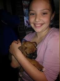 My cat Jeska says hello to the boxer litter Kim,