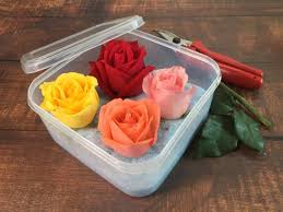 As your flowers are drying in the container, the silica gel will. How To Preserve Flowers By Drying Pressing And More Hgtv