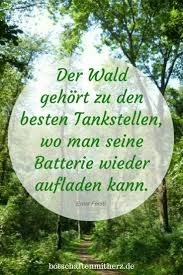 Pin By Wald On Pin Tool Monday Humor Quotes Monday Humor Believe In Yourself Quotes