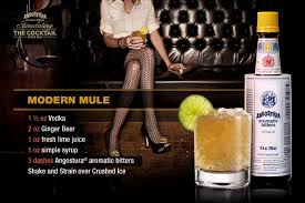 Http Blog Angosturabitters Com Wp Content Uploads 2011 11 Modernmule1 Jpg Cocktail Bitters Angostura Bitters Angostura Aromatic Bitters