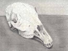 She was known for her paintings of enlarged flowers, new york skyscrapers, and new mexico landscapes. Horse Skull Puzzle For Sale By Mendy Sutherland