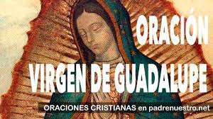, por haber condescendido a manifestar tu esplendor. á… Oracion A La Virgen De Guadalupe Padrenuestro Net