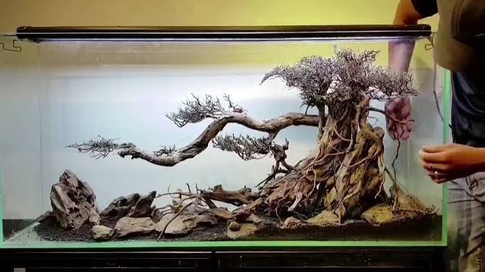 Lũa bể cá thủy sinh ĐỘC LẠ nhiều mẫu gỗ lũa bonsai thủy sinh đẳng cấp
