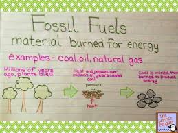 The Science Penguin Anchor Charts Science Anchor Charts Science Teaching Resources Anchor Charts