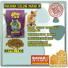 Kitchen flavor makanan kucing kiloan lampung provinsi. Harga Makanan Kucing Kiloan Terbaik Hobi Koleksi Juli 2021 Shopee Indonesia