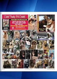 As an amateur photo contest, we allow any users to share their pet's photo and rate other pets as well. Si Pet Cutest Family Contest Staten Island Shop A Holic Facebook
