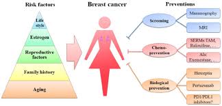 schematic diagram of risk factors and preventions of breast