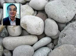 Jawatankuasa pembangunan pss smka nibong tebal sk sungai kechil sk permatang tok mahat sk keledang jaya sjkt ladang changkat sjkc pai teik. After Stone Throwing Incident At Vasanthapiriya S School Pta Urges For Increased Security