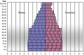 Éstos eran voceros de una este destacado y polifacético intelectual se convirtió en comentarista de los tres censos nacionales realizados entre 1869 y 1914. Who Counts Demography Of Race And Ethnicity In Argentina Springerlink